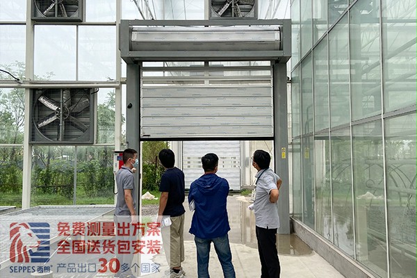 智能化溫室硬質快速卷簾門